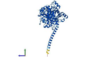 AlphaFold protein structure predicition of Human Recombinant MTMR9 Protein, UniprotID Q96QG7