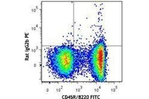 Flow Cytometry (FACS) image for anti-Chemokine (C-X-C Motif) Receptor 5 (CXCR5) antibody (PE) (ABIN2662491) (CXCR5 antibody  (PE))