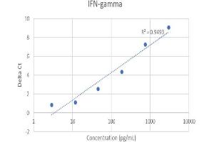 ELISA image for Interferon gamma (IFNG) IQ-ELISA Kit (ABIN5680028) (Interferon gamma IQ-ELISA Kit)