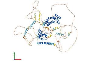 AlphaFold protein structure predicition of Human Recombinant AXIN2 Protein, UniprotID Q9Y2T1