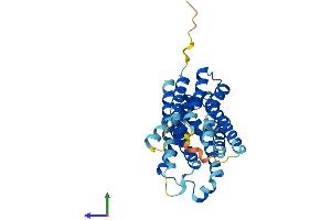 AlphaFold protein structure predicition of Mouse Recombinant Slc35a3 Protein, UniprotID Q8R1T4
