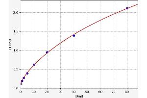 PKM ELISA Kit