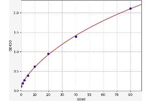 Typical standard curve (PKM ELISA Kit)