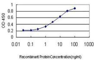 Detection limit for recombinant GST tagged FOXA2 is approximately 0. (FOXA2 antibody  (AA 363-457))