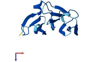NHL Repeat Containing 4 (NHLRC4) (AA 1-123) protein (His tag)