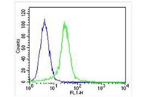 Overlay histogram showing Hela cells stained with (ABIN655391 and ABIN2844939) (green line). (KDM4C antibody  (C-Term))