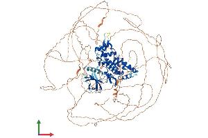 Protein Structure (PS) image for Homeodomain Interacting Protein Kinase 1 (HIPK1) (AA 1-1210) protein (His tag) (ABIN7554084)