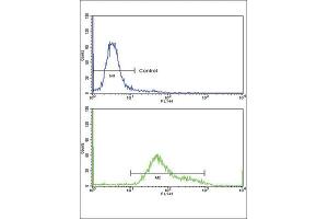 Flow Cytometry (FACS) image for anti-Guanine Monophosphate Synthetase (GMPS) antibody (ABIN3001740) (GMP Synthase antibody)