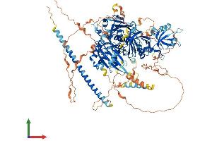 AlphaFold protein structure predicition of Mouse Recombinant Sipa1 Protein, UniprotID P46062 (SIPA1 Protein (AA 1-1037) (His tag))