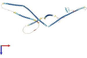 OPTN Protein (AA 1-577) (His tag)
