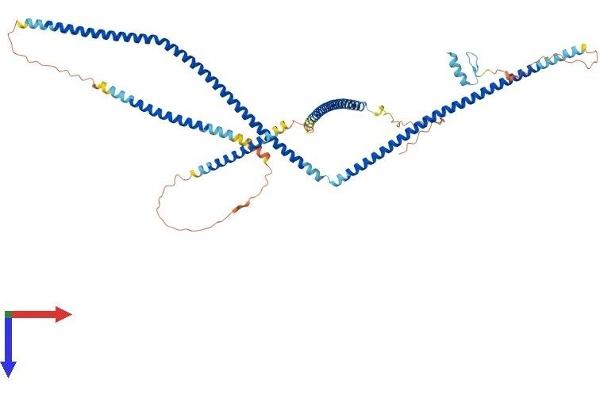 OPTN Protein (AA 1-577) (His tag)