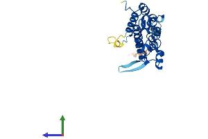 AlphaFold protein structure predicition of Mouse Recombinant Pacrg Protein, UniprotID Q9DAK2 (PACRG Protein (AA 1-241) (His tag))