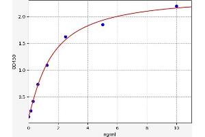 Typical standard curve (CYP1A2 ELISA Kit)