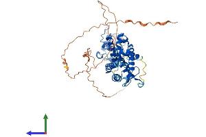 AlphaFold protein structure predicition of Mouse Recombinant Hnf4a Protein, UniprotID P49698 (HNF4A Protein (AA 1-474) (His tag))
