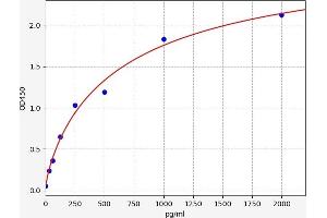 Typical standard curve (BTB Domain a and CNC Homolog 2 ELISA Kit)
