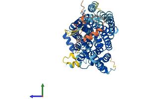 AlphaFold protein structure predicition of Mouse Recombinant Slc5a12 Protein, UniprotID Q49B93 (SLC5A12 Protein (AA 1-619) (His tag))
