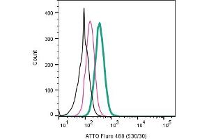 Cell surface detection of 5-Hydroxytryptamine receptor 2B by direct flow cytometry in live intact human  monocytic leukemia cell line: + Rabbit IgG Isotype Control-ATTO Fluro-488 (ABIN7582041). (Serotonin Receptor 2B antibody  (Extracellular) (Atto 488))