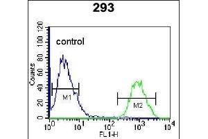 HOPX Antibody (C-term) (ABIN655402 and ABIN2844948) flow cytometric analysis of 293 cells (right histogram) compared to a negative control cell (left histogram). (HOPX antibody  (C-Term))