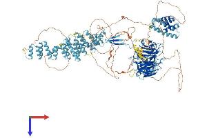 SEC31A Protein (AA 1-1230) (His tag)