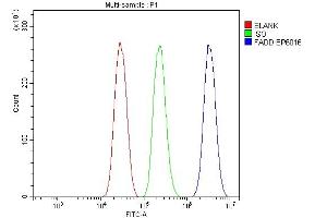 Flow Cytometry analysis of HEPA1-6 cells using anti-FADD antibody (ABIN7602804). (FADD antibody  (C-Term))