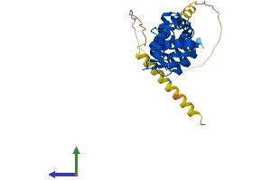 AlphaFold protein structure predicition of Mouse Recombinant Dcun1d4 Protein, UniprotID Q8CCA0 (DCUN1D4 Protein (AA 1-292) (His tag))