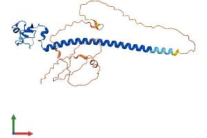Protein Structure (PS) image for Ring Finger Protein 212 (RNF212) (AA 1-297) protein (His tag) (ABIN7551484)