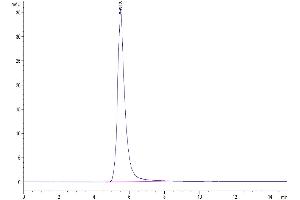 The purity of Human FGFR4 is greater than 95 % as determined by SEC-HPLC.