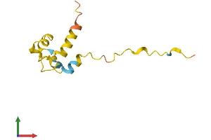 AlphaFold protein structure predicition of Human Recombinant WT1-AS Protein, UniprotID Q06250 (WIT1 Protein (AA 1-92) (Fc Tag))