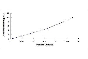 Protein L-Myc (MYCL) ELISA Kit