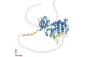 AlphaFold protein structure predicition of Mouse Recombinant Chek2 Protein, UniprotID Q9Z265 (CHEK2 Protein (AA 1-546) (His tag))