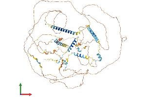 AlphaFold protein structure predicition of Human Recombinant FAM193B Protein, UniprotID Q96PV7 (FAM193B Protein (AA 1-902) (His tag))