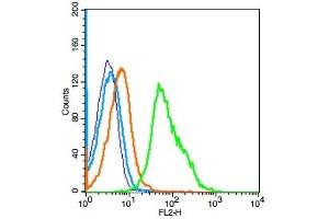 Flow Cytometry (FACS) image for anti-Interleukin 22 Receptor, alpha 2 (IL22RA2) (AA 165-263) antibody (ABIN748193)