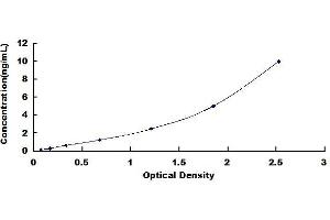 Typical standard curve (MITF ELISA Kit)