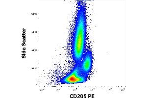 LY75/DEC-205 antibody  (PE)