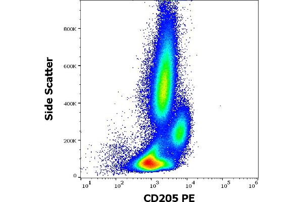 LY75/DEC-205 antibody  (PE)