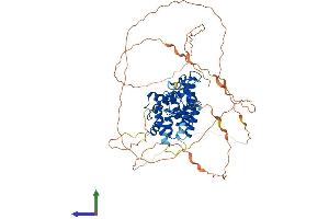 Protein Structure (PS) image for Nuclear Receptor Subfamily 4, Group A, Member 3 (NR4A3) (AA 1-626) protein (His tag) (ABIN7554805)