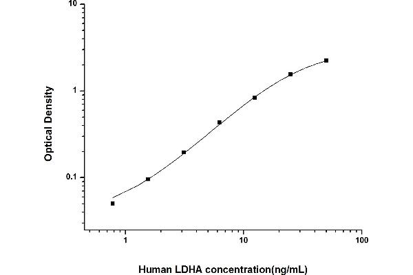 Lactate Dehydrogenase A ELISA Kit