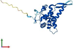 Protein Structure (PS) image for Ribosomal Protein S5 (RPS5) (AA 1-204) protein (His tag) (ABIN7556812)