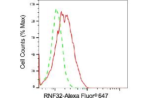 Flow cytometric analysis of RNF32 expression in Raji cells using RNF32 antibody (ABIN7800251), 1:2,000). (RNF32 antibody)