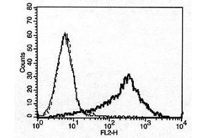 Image no. 2 for anti-Tumor Necrosis Factor (Ligand) Superfamily, Member 13 (TNFSF13) antibody (ABIN187283) (TNFSF13 antibody)