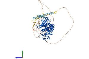AlphaFold protein structure predicition of Mouse Recombinant Srpk2 Protein, UniprotID O54781 (SRPK2 Protein (AA 1-681) (His tag))