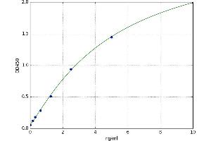 Annexin A6 (ANXA6) ELISA Kit