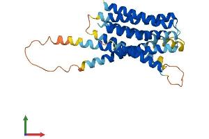 AlphaFold protein structure predicition of Human Recombinant SLC39A9 Protein, UniprotID Q9NUM3