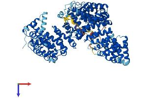 TNPO2 Protein (AA 1-897) (His tag)