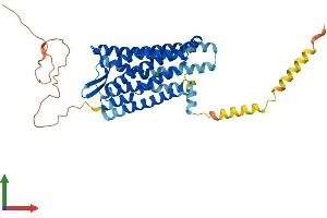 AlphaFold protein structure predicition of Mouse Recombinant Oprm1 Protein, UniprotID P42866 (Mu Opioid Receptor 1 Protein (AA 1-398) (His tag))