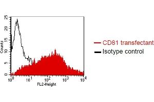 FACS analysis of Dubca cells using QV-6A8-S3 (ABIN1720914). (CD81 antibody)