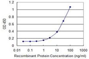 Detection limit for recombinant GST tagged MAP1LC3B is 0. (LC3B antibody  (AA 1-125))