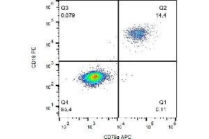 Flow cytometry analysis (intracellular staining) of CD79a in human peripheral blood (lymphocyte gate) with anti-CD79a (HM57) APC. (CD79a antibody  (AA 202-216) (APC))