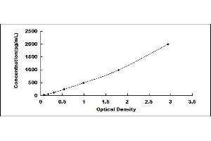 Typical standard curve (EPO ELISA Kit)
