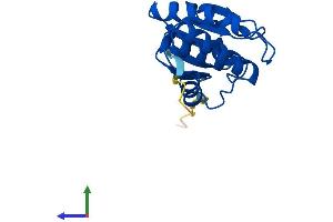 AlphaFold protein structure predicition of Mouse Recombinant Dusp28 Protein, UniprotID Q8BTR5
